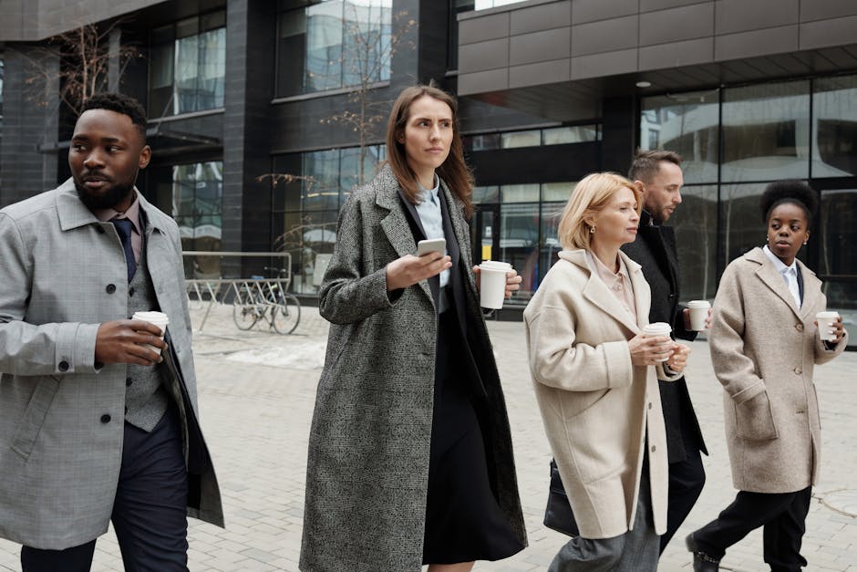 Курсы программирования и веб-дизайна